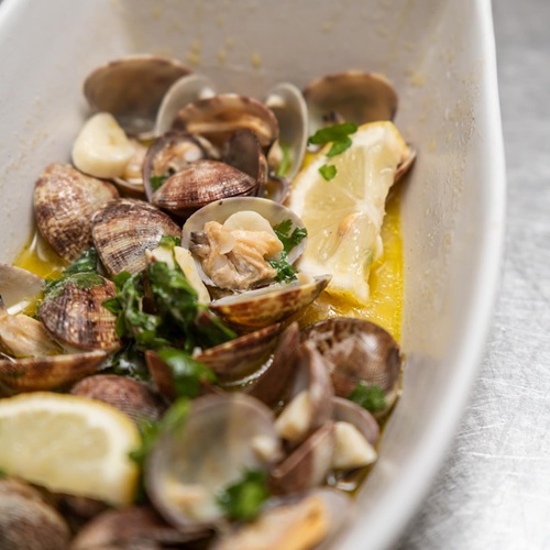 Muscheln Bulhão Pato