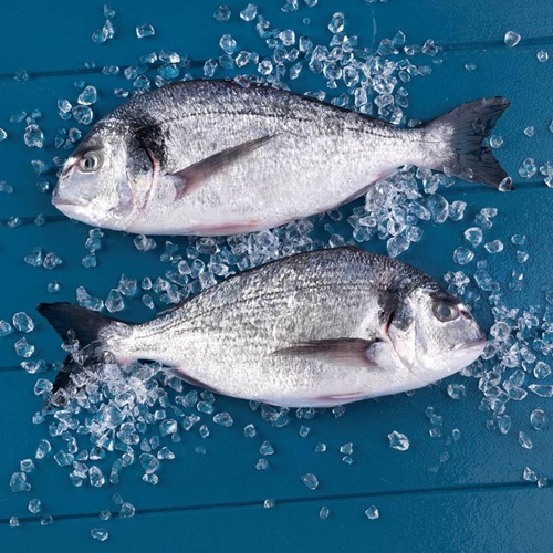 Дика дорада на грилі