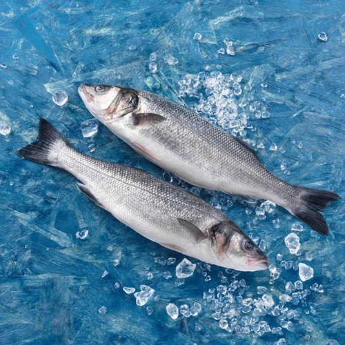 Сібас з аквакультури на грилі