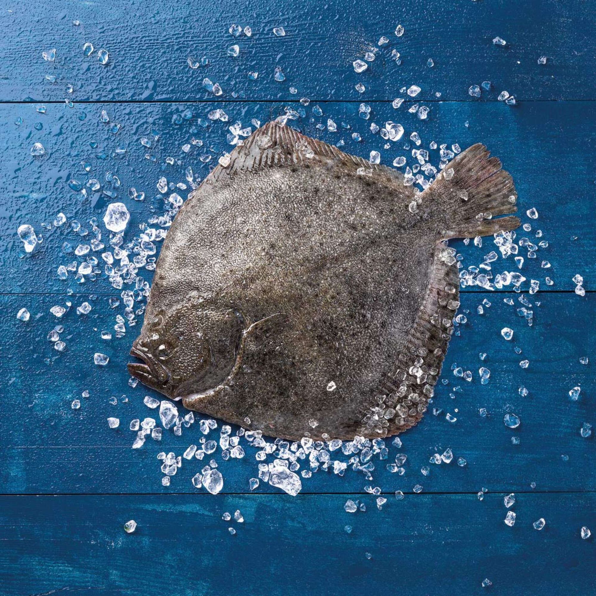 Тюрбо на грилі